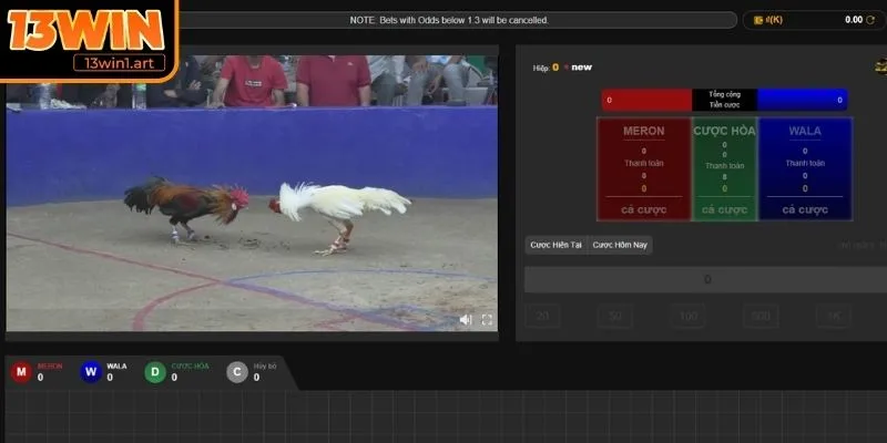 Bình luận chuyên sâu