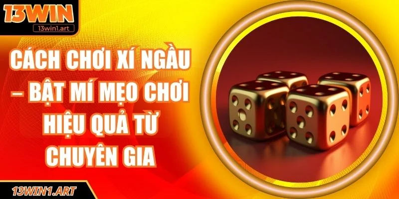 Cách chơi xí ngầu