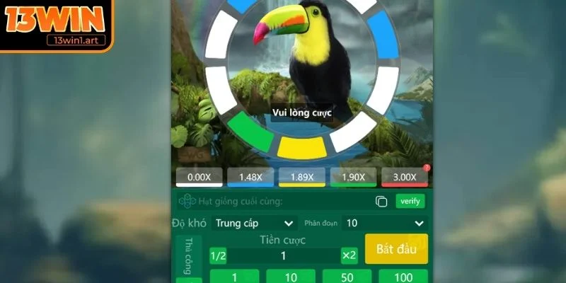 Bí quyết thành công khi chơi Circle