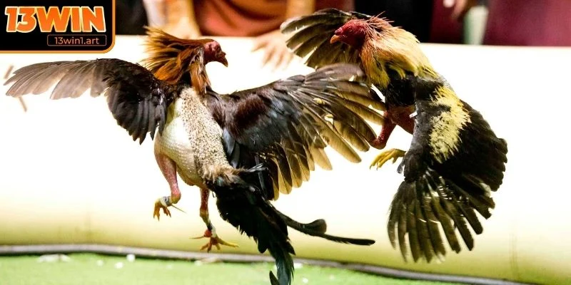 Mẹo chọn con giáp chuẩn xác