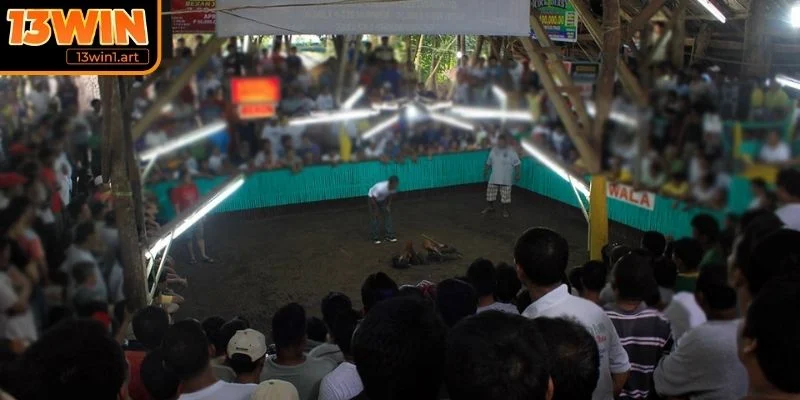 Thiết kế và bố trí không gian