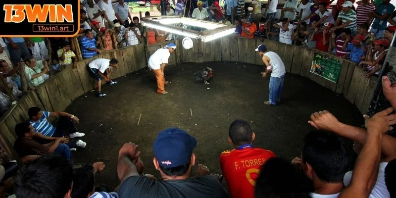 Lịch sử hình thành Đá gà Thomo