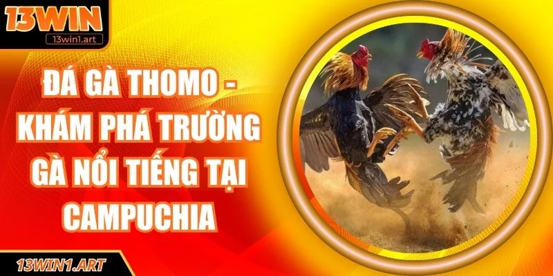 Đá gà Thomo
