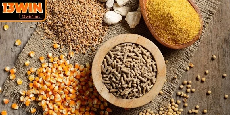 Chế độ dinh dưỡng hợp lý