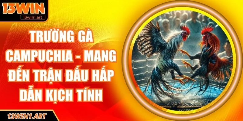 Trường gà campuchia